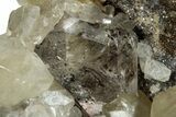 Calcite Crystals with Dolomite and a Herkimer Diamond - New York #251205-1